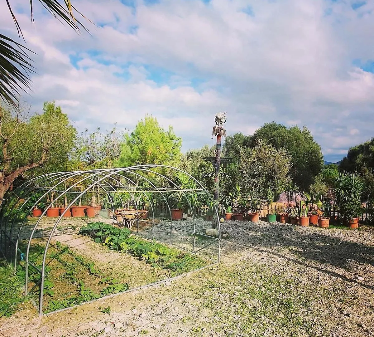 Ballerics Finca S'Almudaina Farm Finca Villa 12P Etv1135