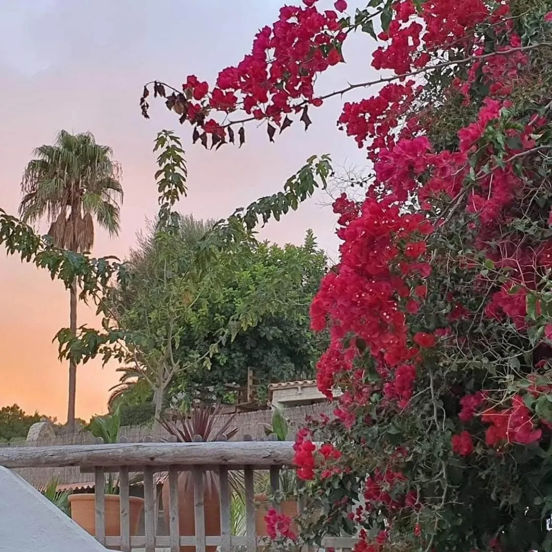 Ballerics Finca S'Almudaina Farm Finca Villa 12P Etv1135 0*,