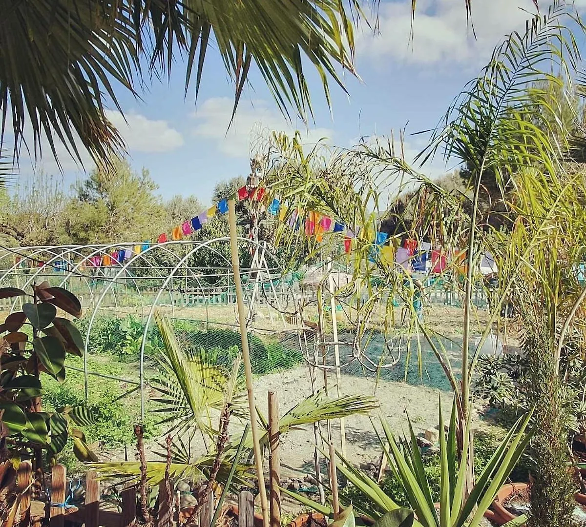 Ballerics Finca S'Almudaina Farm Finca Villa 12P Etv1135