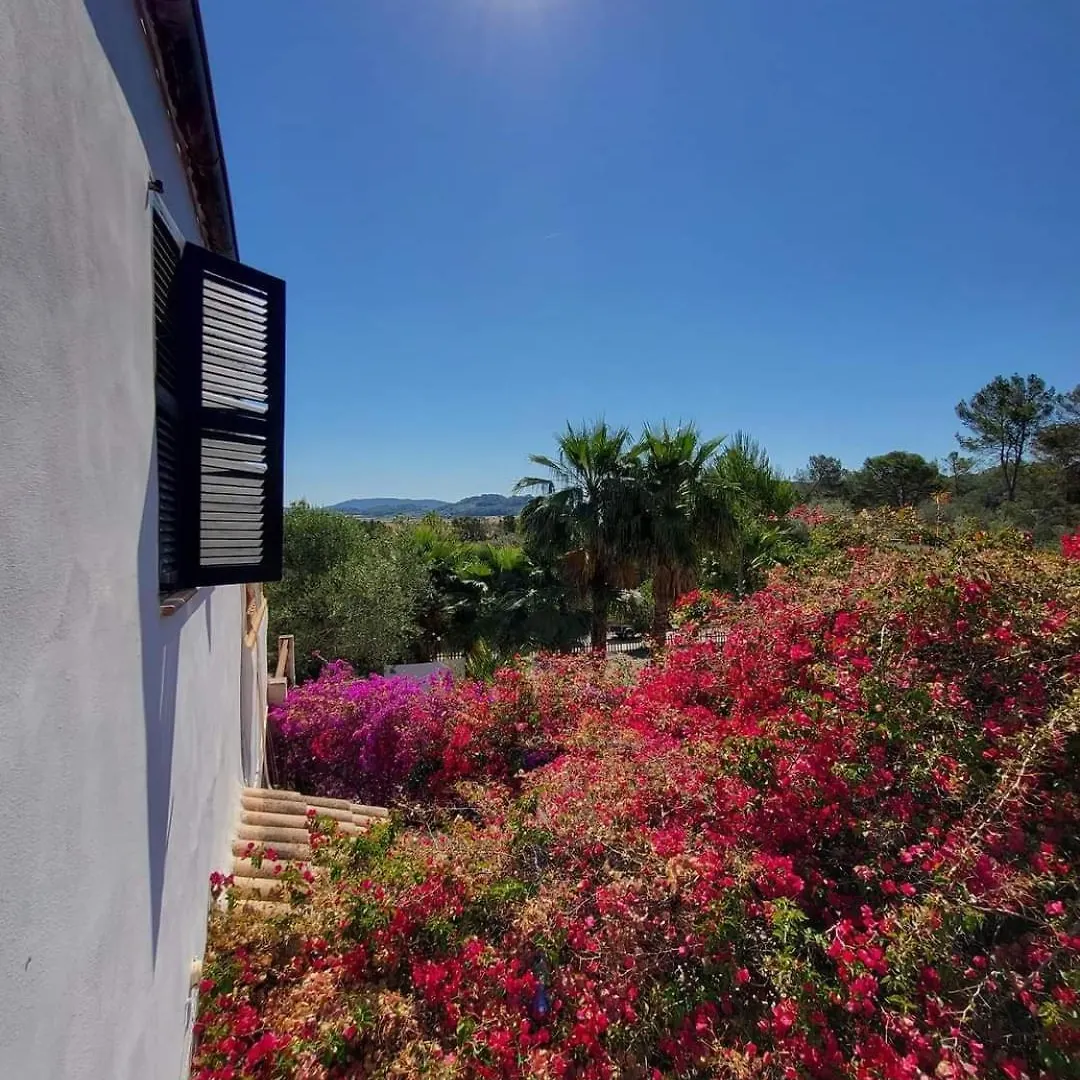 Ballerics Finca S'Almudaina Farm Finca Villa 12P Etv1135